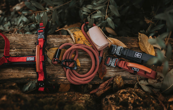 Explorer Series