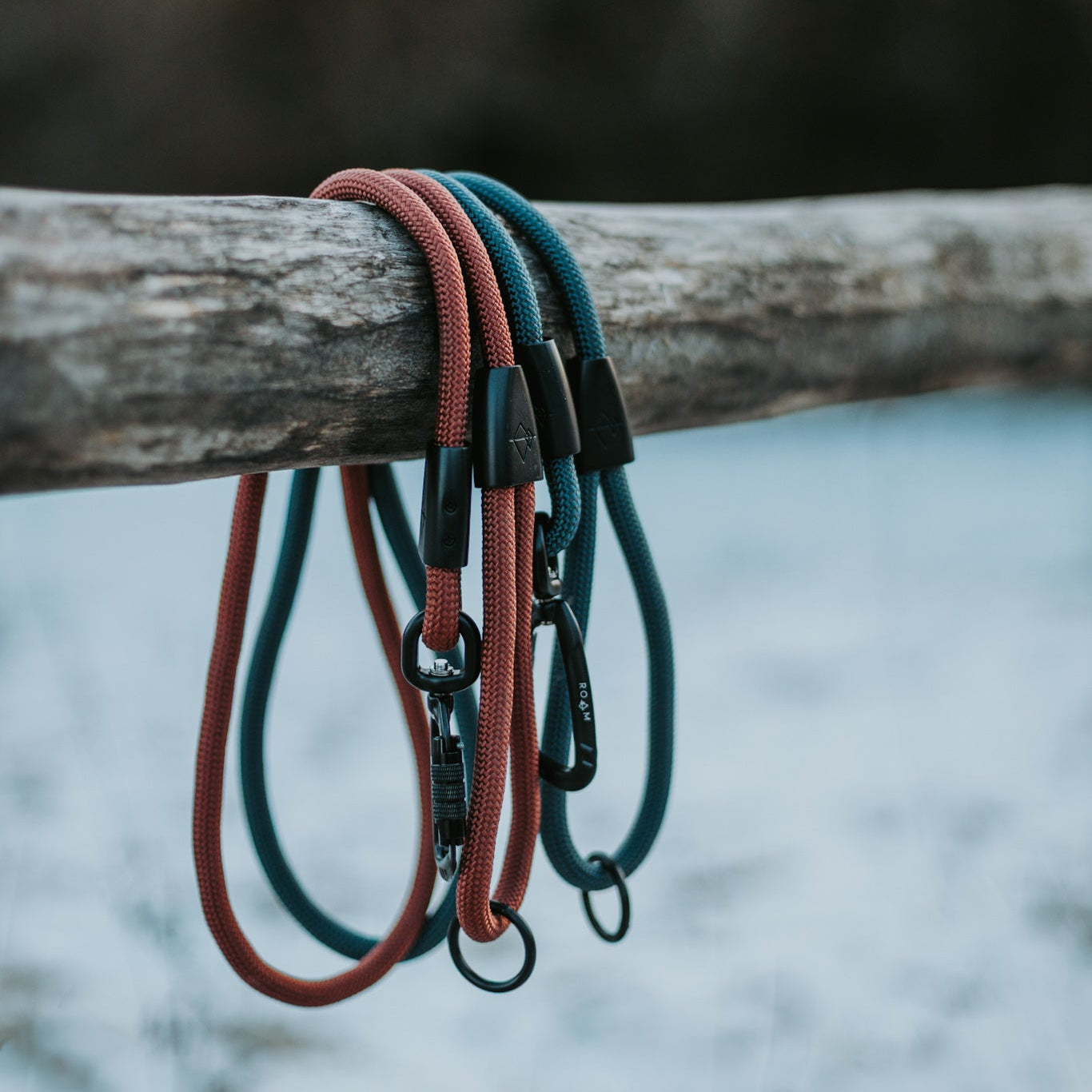 Explorer Leash -  - Made To Roam