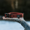 Explorer Classic Collars