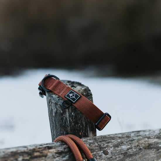 Explorer Leash -  - Made To Roam