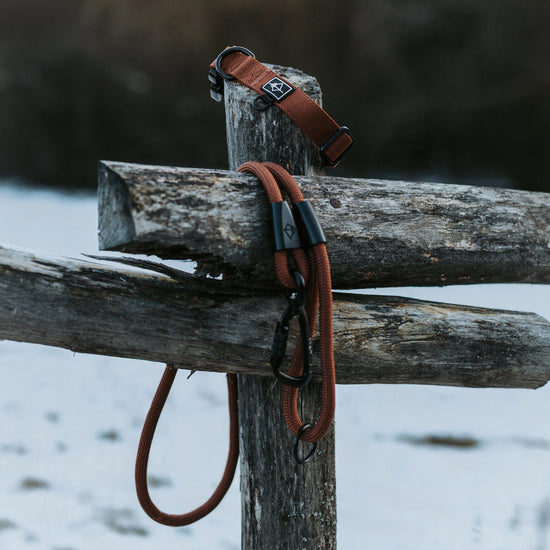 Explorer Leash -  - Made To Roam