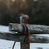 Explorer Classic Collars