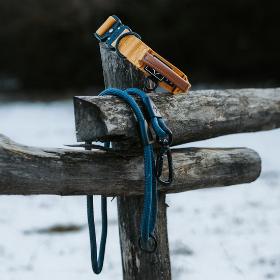 Explorer Leash -  - Made To Roam