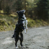 Explorer Harness Other Colors