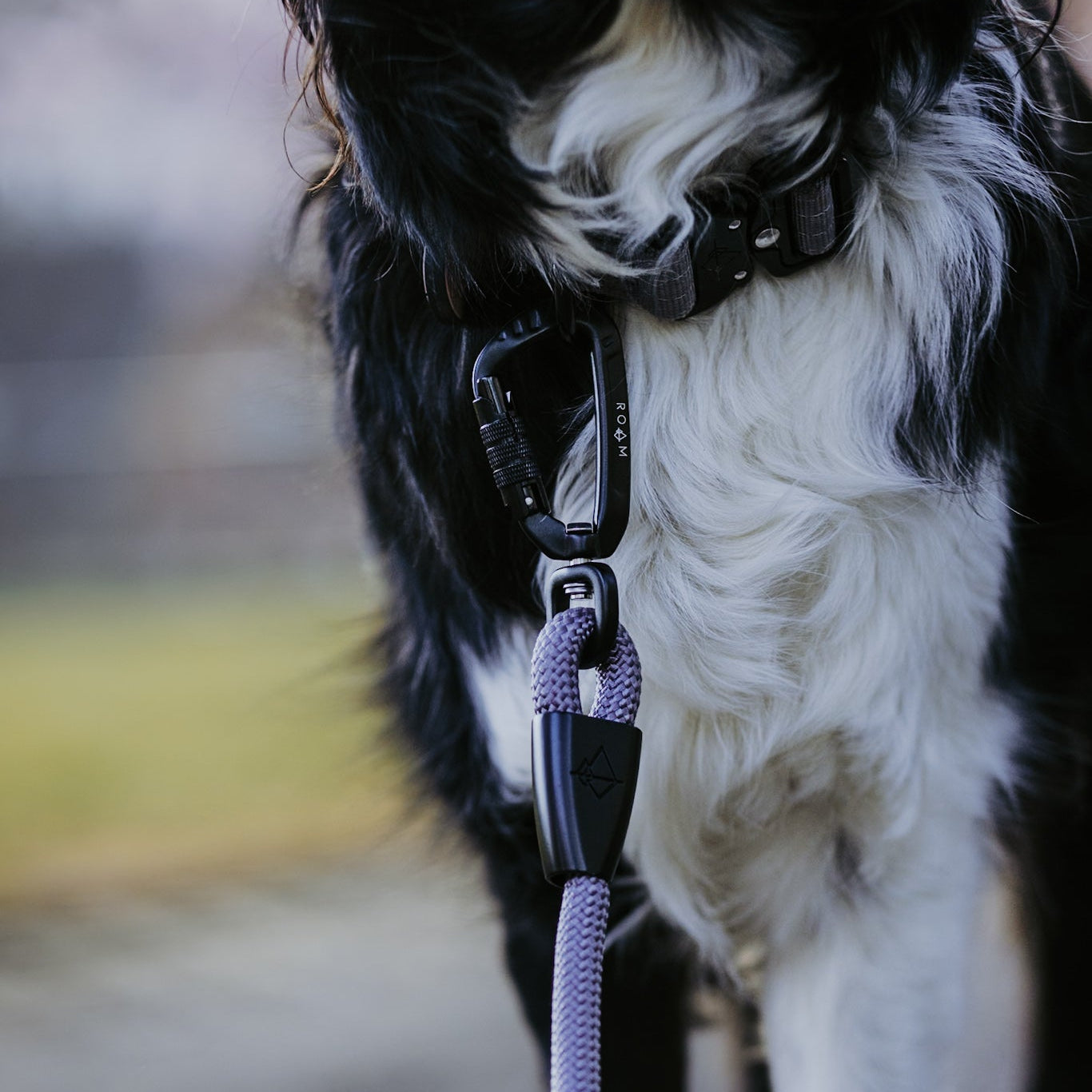 Explorer Leash -  - Made To Roam
