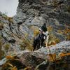 Explorer Harness