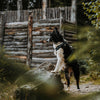 Explorer Harness