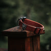 Explorer Classic Collars