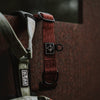 Explorer Classic Collars