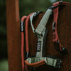 Explorer Harness Other Colors