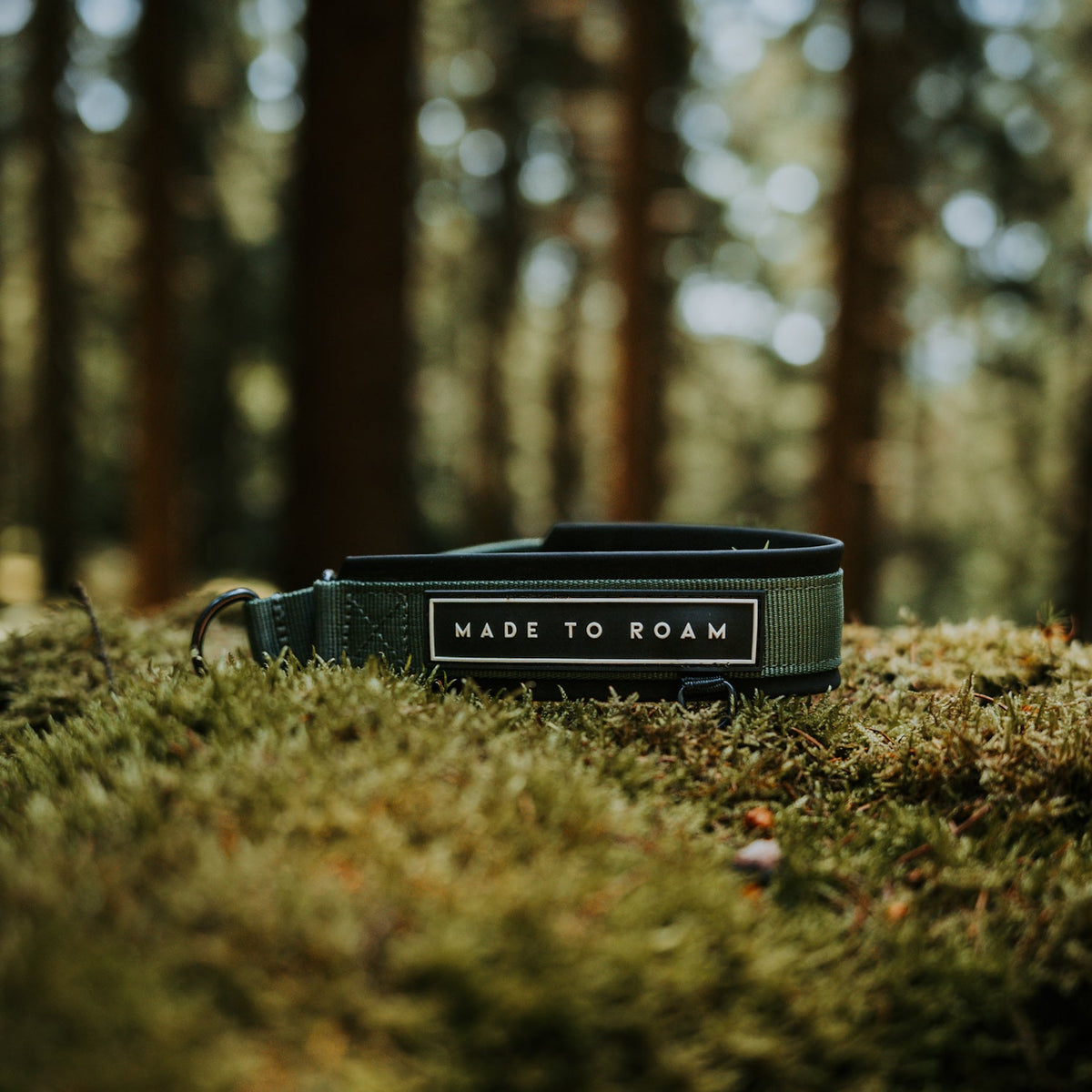 Everyday Collar -  - Made To Roam