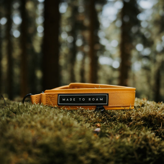 Everyday Collar -  - Made To Roam