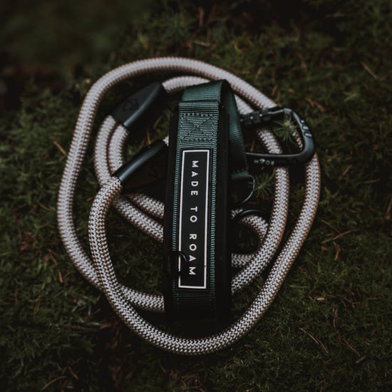 Everyday Collar -  - Made To Roam