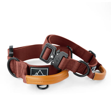 Explorer Control Collar - Arizona Heartbeat