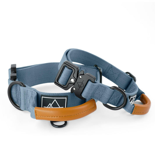 Explorer Control Collar - California Horizon