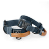 Explorer Control Collar