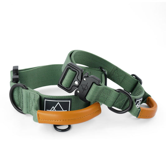 Explorer Control Collar - Oregon Haze