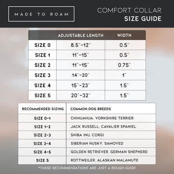 Find the right fit for your adventure! ➞