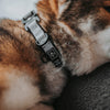 Comfort Collar