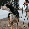 Explorer Control Collar - Maine Marina