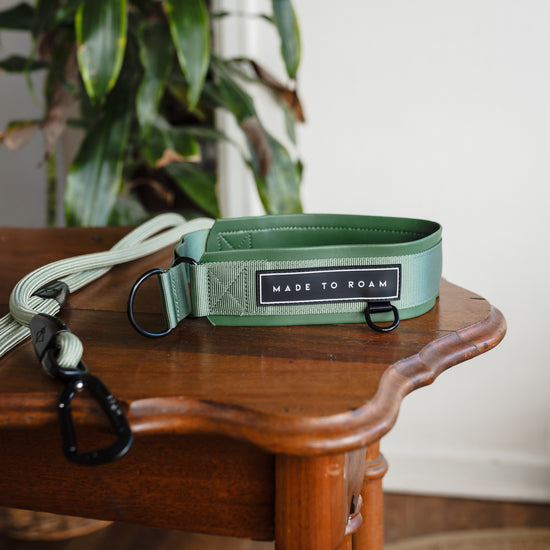 b8548c7d-c8c4-4bf4-859e-104d6c812f5e/Everyday_Collar_-_Edited-8.jpg