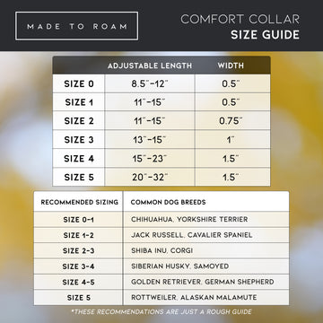 Find the right fit for your adventure! ➞