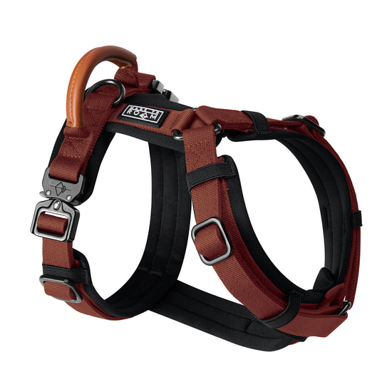 5b276353-2ea8-4239-80fb-3a4c732c5f5e/Harness_Swatch1_Arizona_Heartbeat.jpg