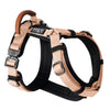 69b9dbef-88d2-459d-b680-65e07a7f7373/Harness_Swatch1_California_Blooms.jpg