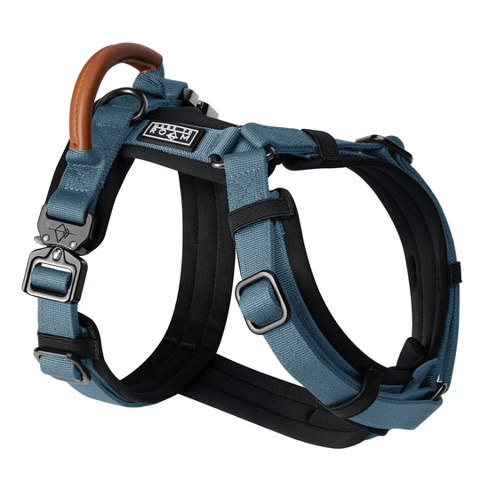 afe4178c-fec1-4ee6-8da8-9a9a83d7eb72/Harness_Swatch1_California_Horizon.jpg