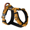 b8b350b1-0c22-4099-b0e3-89452a7791ec/Harness_Swatch1_Michigan_Autumn.jpg