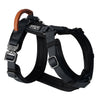 c98f806e-2a90-4834-9356-bedf3ddfe201/Harness_Swatch1_New_York_Afterlight.jpg