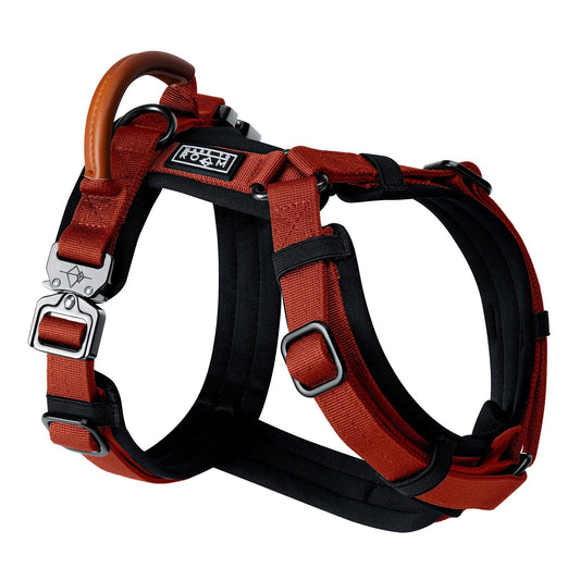 Explorer Harness - Texas Flair