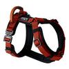 4e8064ab-e252-43ab-947e-2494dbe78f54/Harness_Swatch1_Texas_Flair.jpg