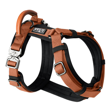 Explorer Harness - Nevada Evening