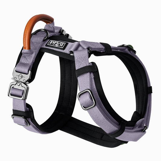 Explorer Harness - Montana Moonrise