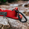 Explorer Leash