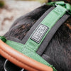 Explorer Harness