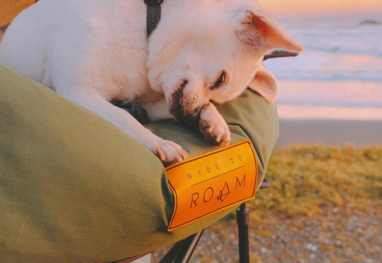 Made To Roam