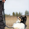 Explorer Classic Collars