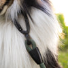 Explorer Classic Collars