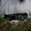 Explorer Classic Collars