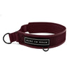 Everyday Collar 2