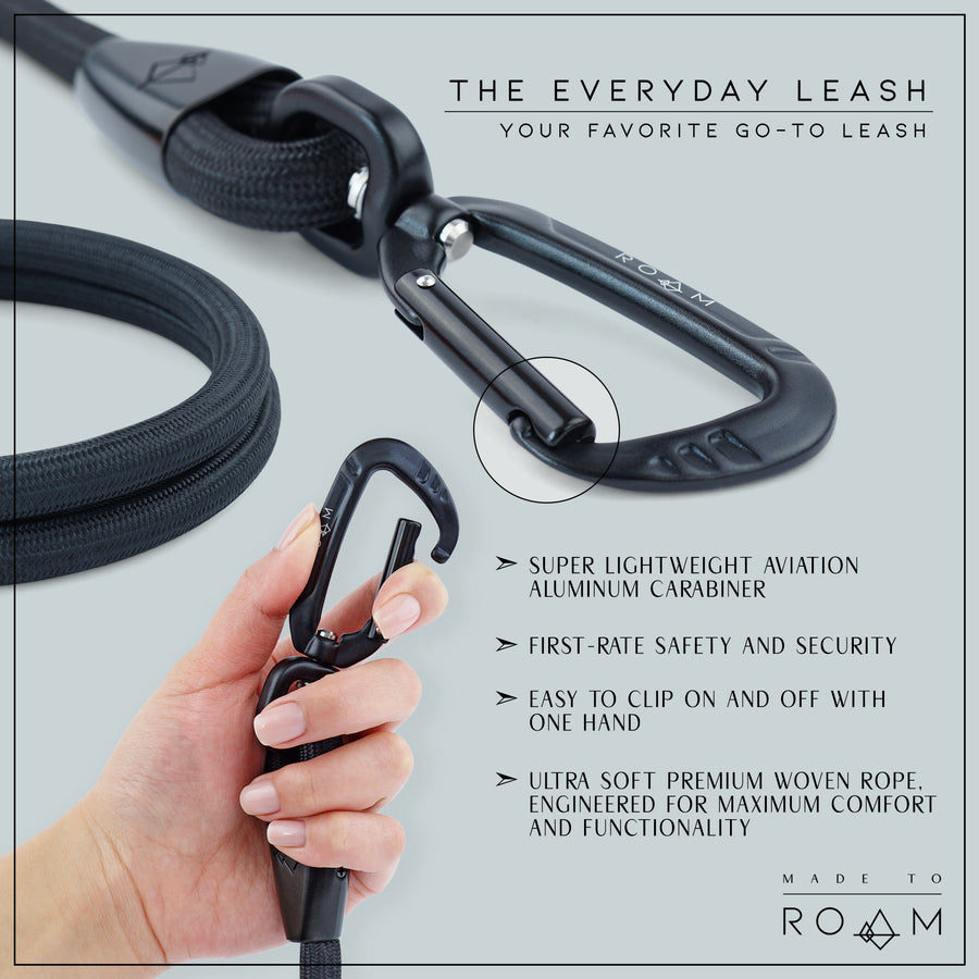 MADE TO ROAM PillowWalk Dog Leash - Arizona Heartbeat