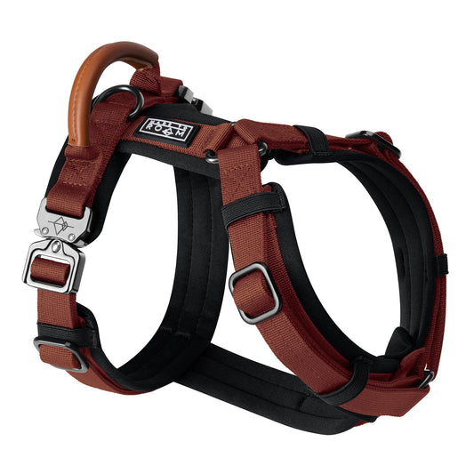 Explorer Harness - Arizona Heartbeat