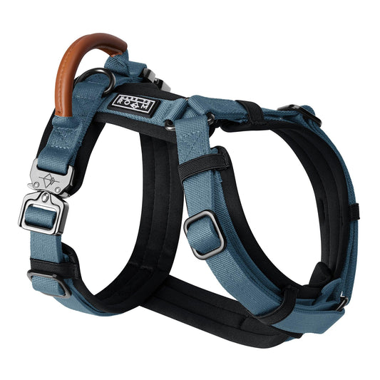 Explorer Harness - California Horizon