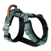 Explorer Harness