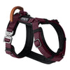 Explorer Harness - Vermont Weekends