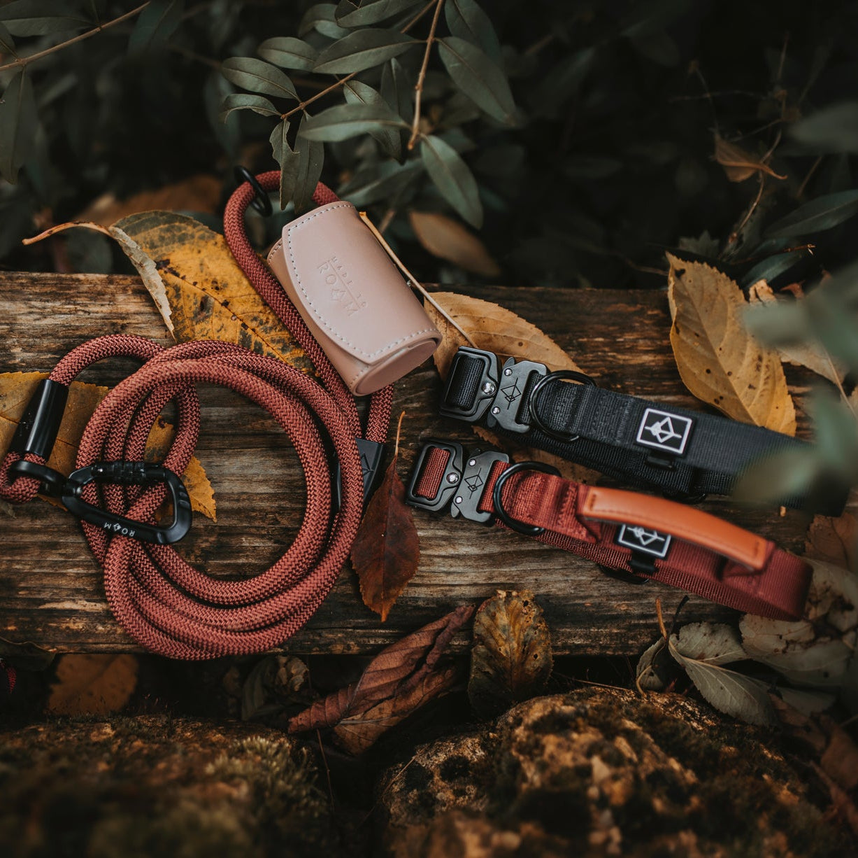 Explorer Classic Collars -  - Made To Roam