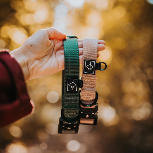 Explorer Classic Collars -  - Made To Roam