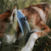 Everyday Collar 2 -  - Made To Roam